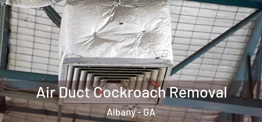  Air Duct Cockroach Removal Albany - GA