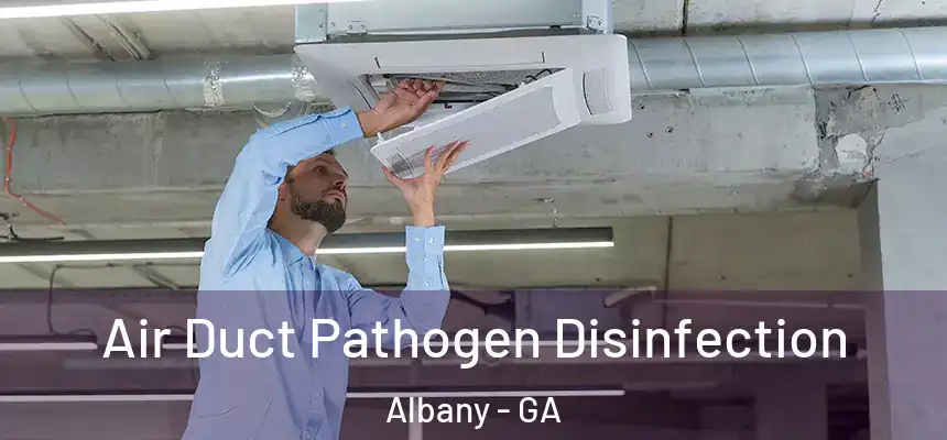 Air Duct Pathogen Disinfection Albany - GA