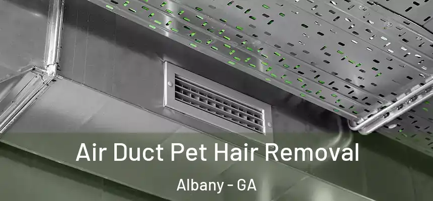 Air Duct Pet Hair Removal Albany - GA