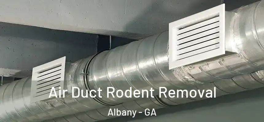 Air Duct Rodent Removal Albany - GA
