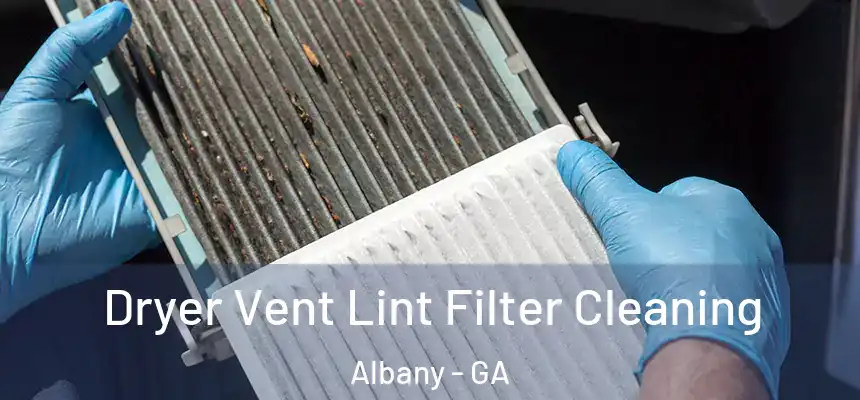 Dryer Vent Lint Filter Cleaning Albany - GA