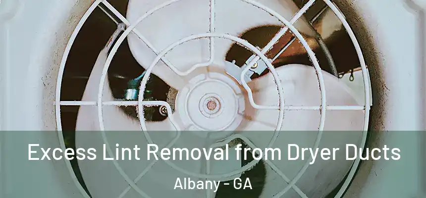  Excess Lint Removal from Dryer Ducts Albany - GA