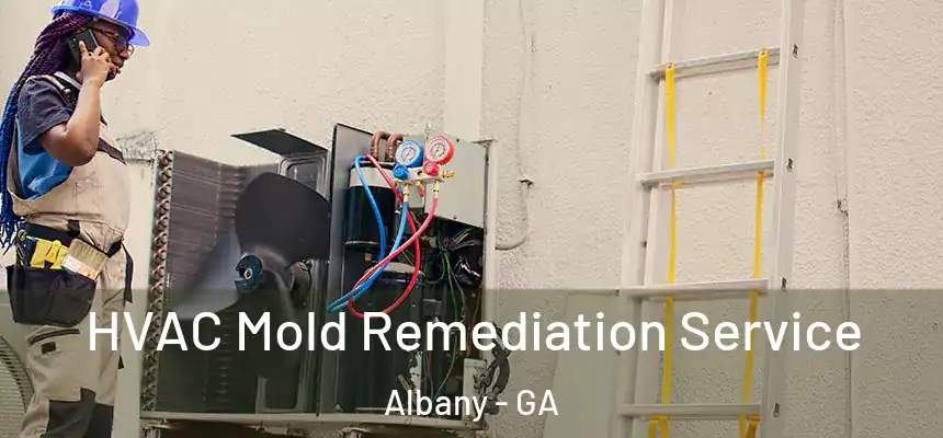  HVAC Mold Remediation Service Albany - GA