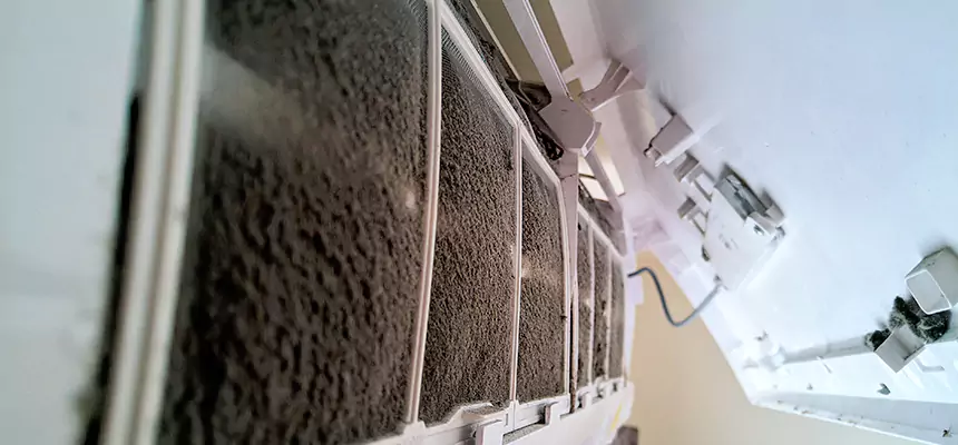 Preventive Air Duct Bacteria Removal in Albany