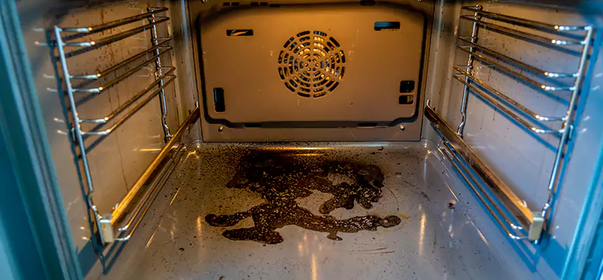 Our Dryer Vent Mold Cleaning Services in Albany, GA