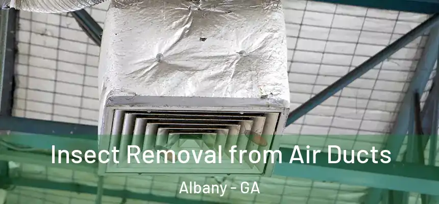 Insect Removal from Air Ducts Albany - GA