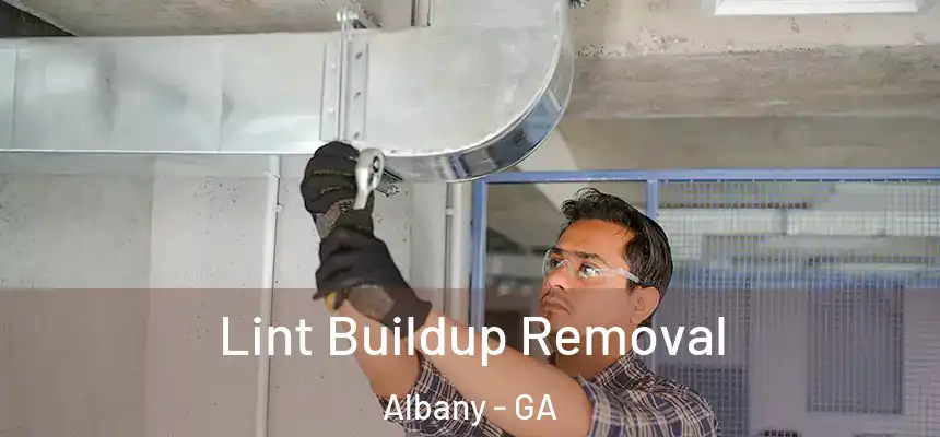 Lint Buildup Removal Albany - GA