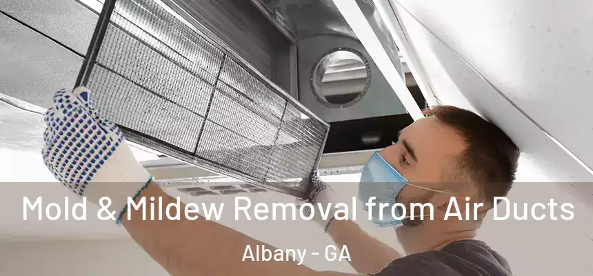  Mold & Mildew Removal from Air Ducts Albany - GA