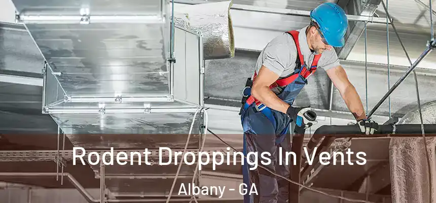 Rodent Droppings In Vents Albany - GA