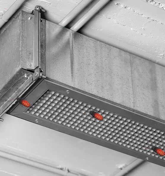 Affordable Insect Removal from Air Ducts in Albany, GA