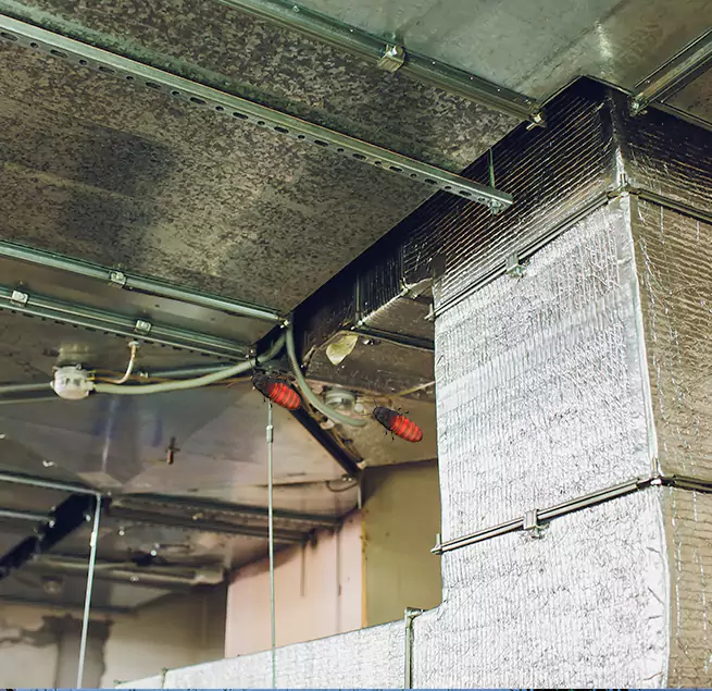 Why Homeowners & Businesses Trust Us in Albany, GA?