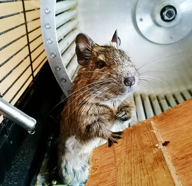 Why Homeowners & Businesses Trust Us Albany, GA?