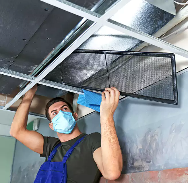 Why Homeowners Businesses Trust Us in Albany, GA