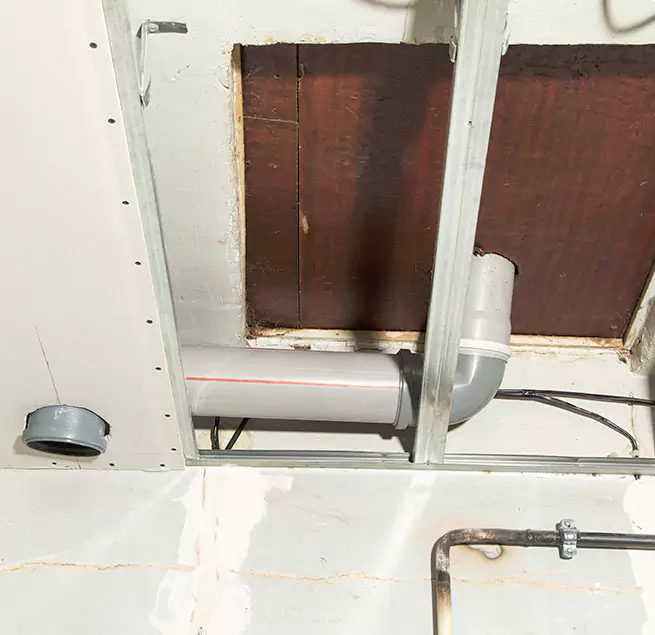 Why Homeowners & Businesses Trust Us in Albany, GA?