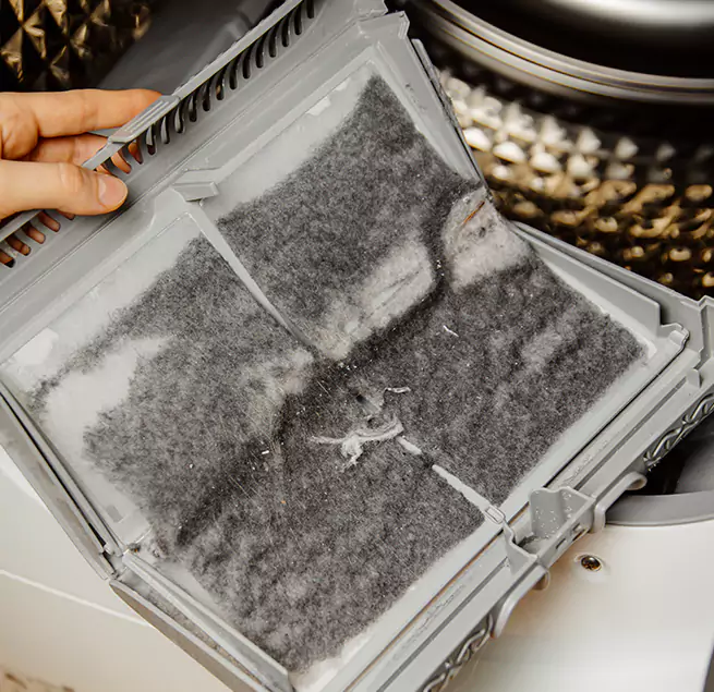 Why Homeowners & Businesses Trust Us Albany, GA?