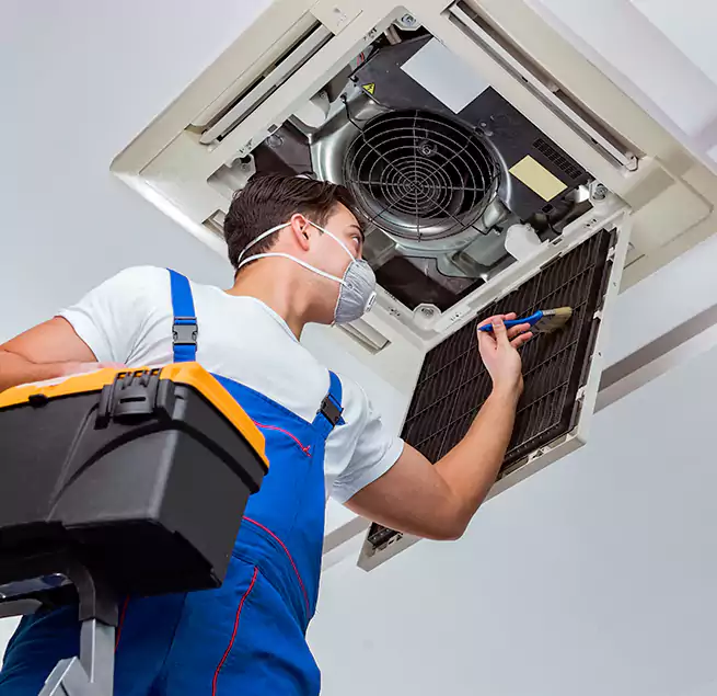 Why Homeowners & Businesses Trust Us in Albany, GA?