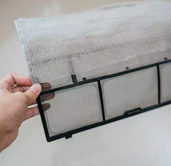 Why Homeowners & Businesses Trust Us in Albany, GA?