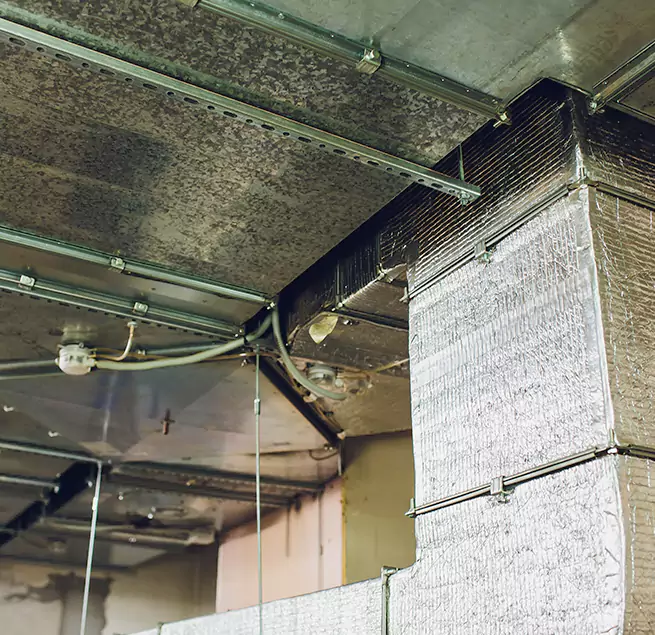 Why Homeowners & Businesses Trust Us in Albany, GA?