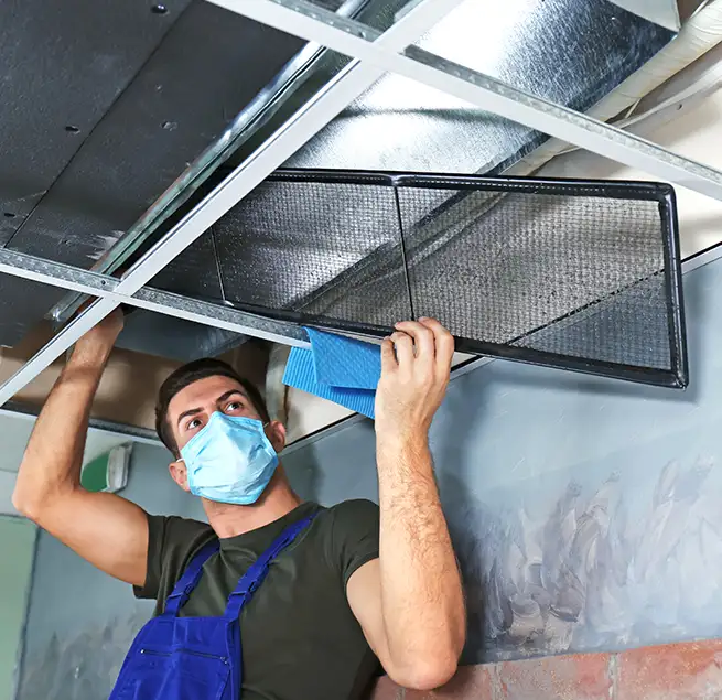 Why Homeowners & Businesses Trust Us in Albany, GA?