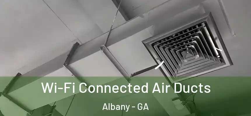 Wi-Fi Connected Air Ducts Albany - GA